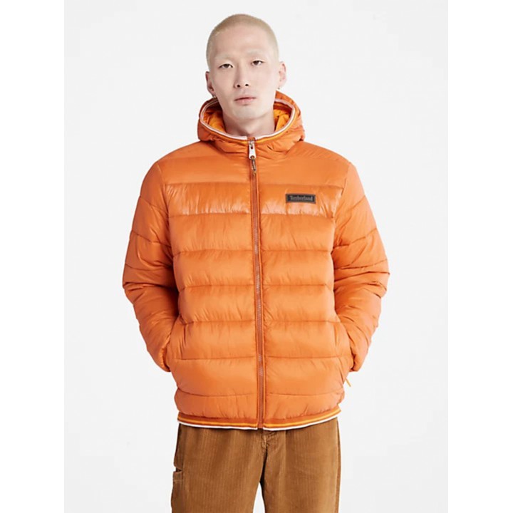 Timberland Garfield - Зимняя куртка TB0A2GA1643